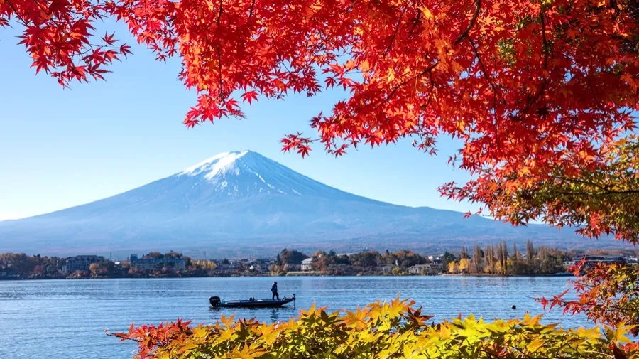 ĐÓN NĂM MỚI TẠI XỨ SỞ HOA ANH ĐÀO