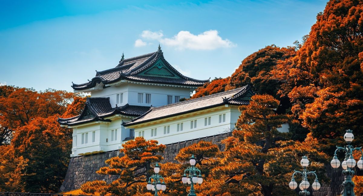 ĐÓN NĂM MỚI TẠI XỨ SỞ HOA ANH ĐÀO