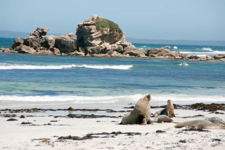 Kangaroo Island, Australia