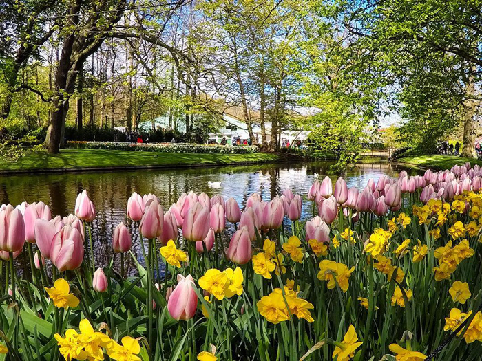 lễ hội hoa Keukenhof