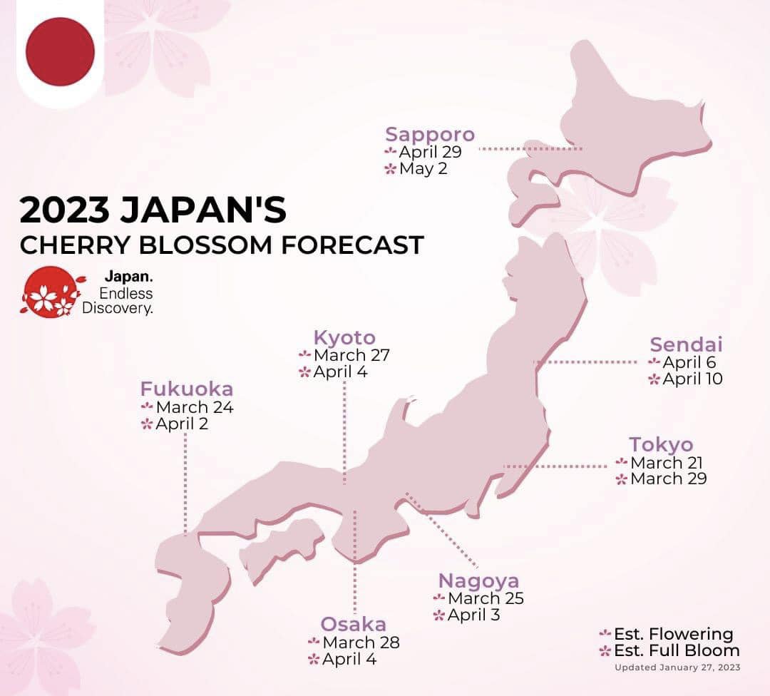 DỰ BÁO LỊCH HOA ANH ĐÀO NỞ 2023