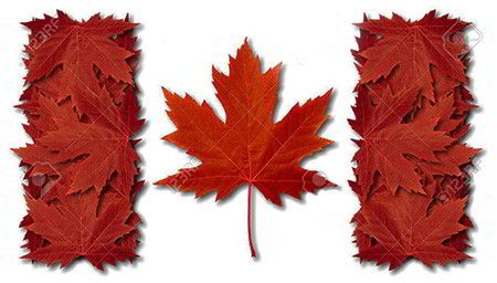 LÁ PHONG- BIỂU TƯỢNG CỦA ĐẤT NƯỚC CANADA XINH ĐẸP