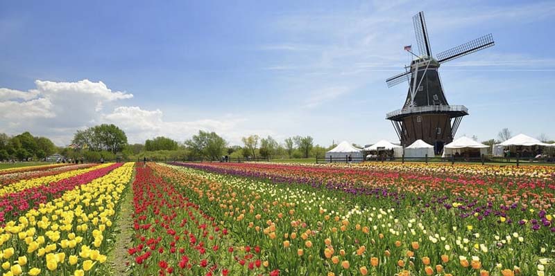 Amsterdam – Xứ sở của những đôi guốc gỗ cổ tích