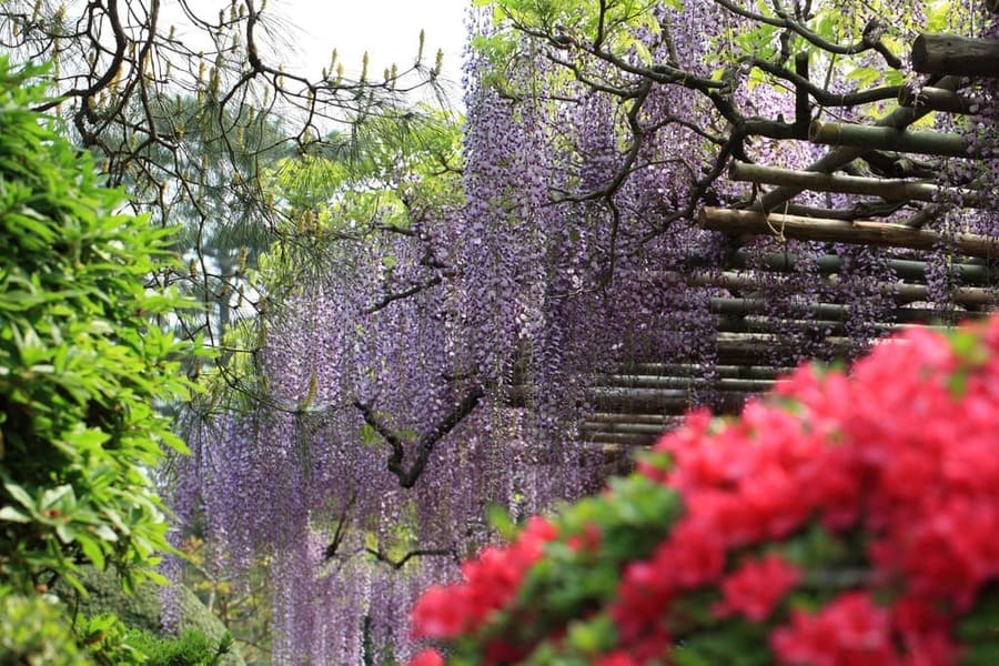 Kasukabe (Saitama)
