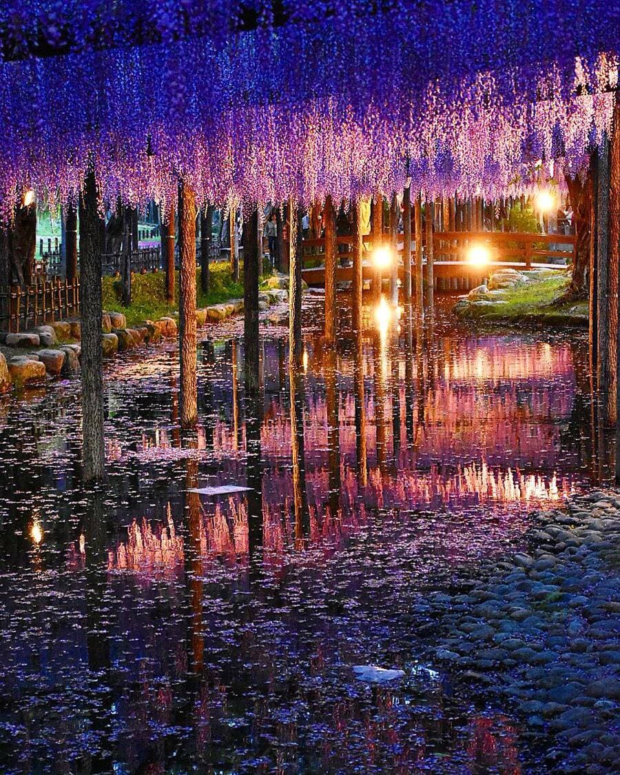 Công viên Tennogawa (Aichi)