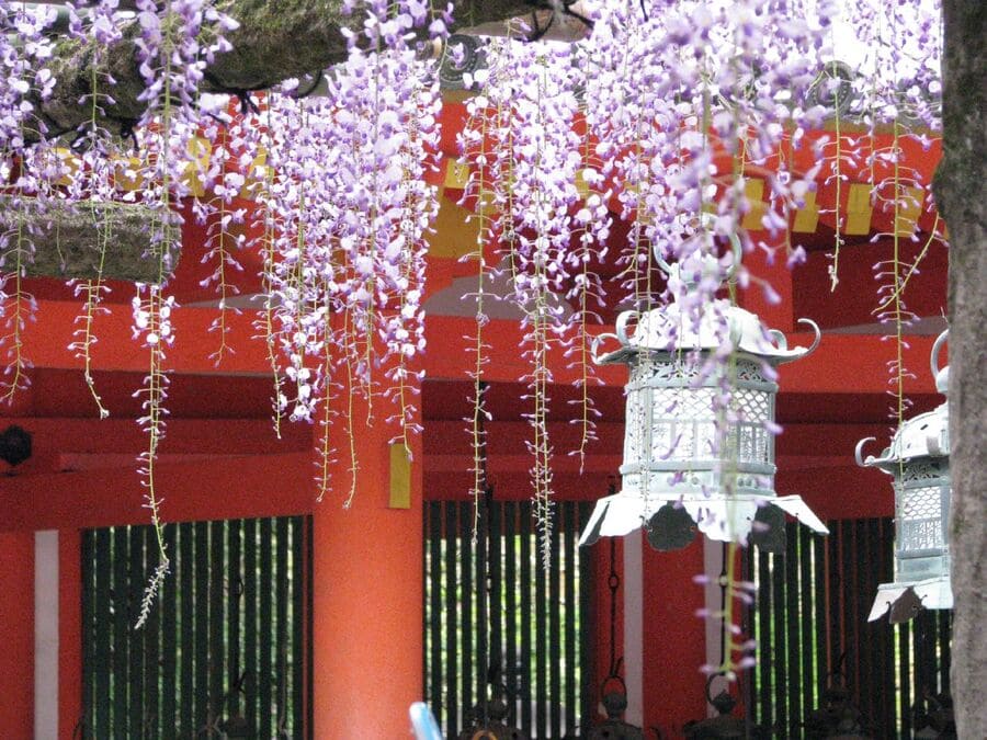 Đền Kasuga Taisha (Nara)
