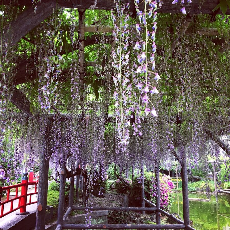 Đền Kaimeido-Tenjin (Tokyo)