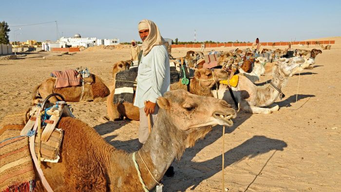 CÓ RẤT NHIỀU BỘ TỘC SINH SỐNG Ở SAHARA