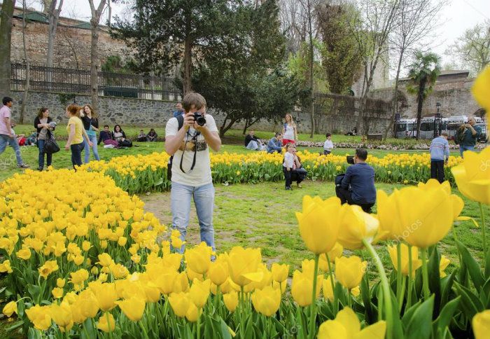 Hoa Tulip khoe sắc tại Istanbul