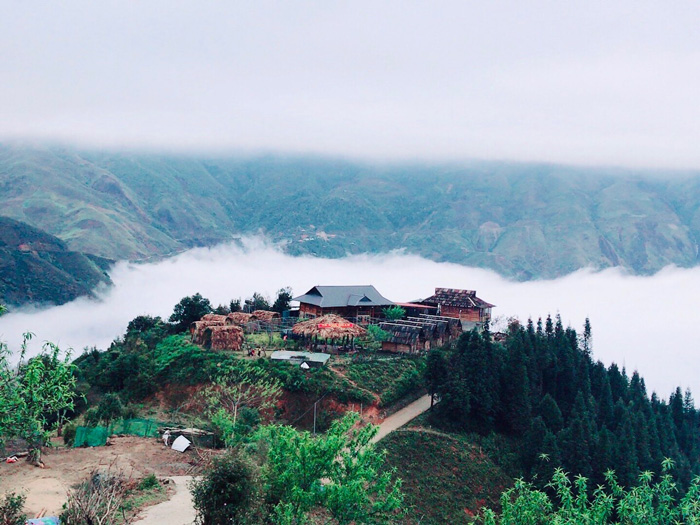 bạn có thể đi lên thẳng Tà Xùa dựng trại hoặc nghỉ tại các homestay trên đó