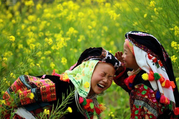 Tia nắng của hoa và nụ cười tỏa sáng ngày đông xám lạnh