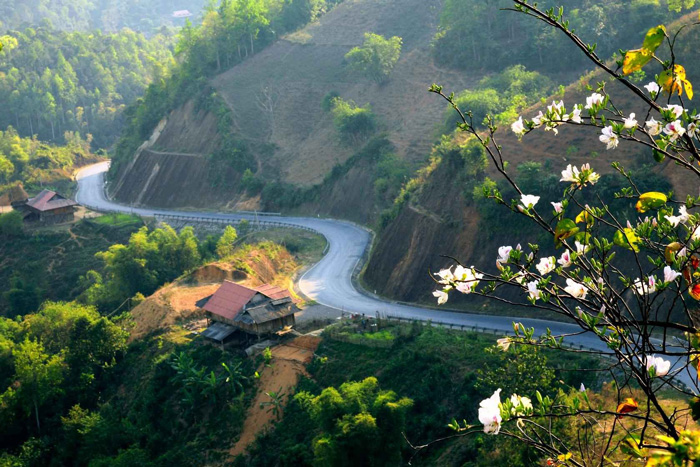 Đèo Pha Đin (Điện Biên)