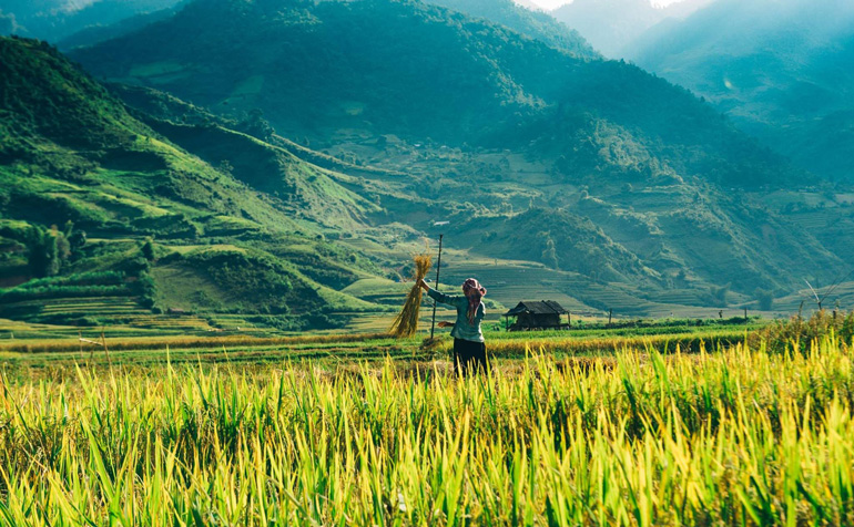Du Lịch Tây Bắc Khởi Hành Từ Hà Nội