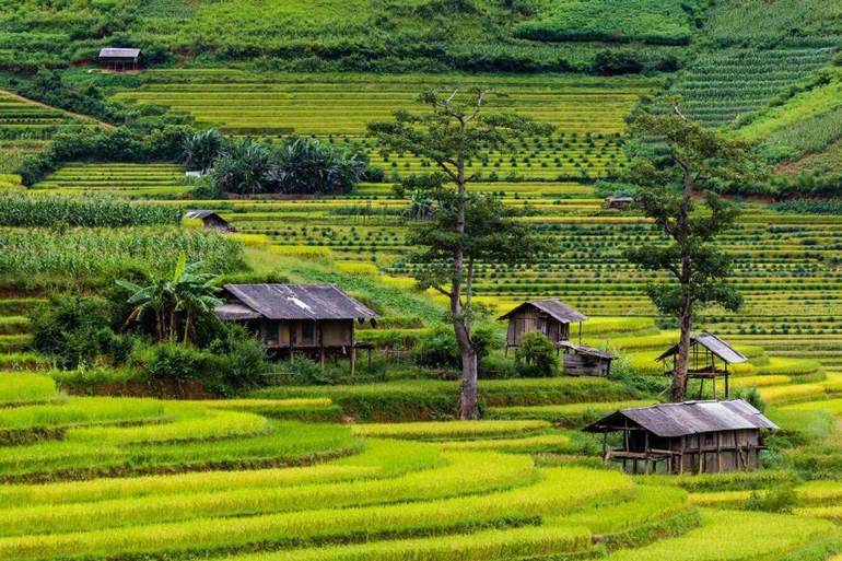 Du Lịch Tây Bắc Mùa Nào Đẹp