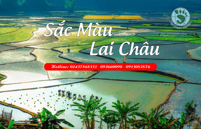 Sắc Màu Lai Châu Độc Đáo: Tam Đường – Si Thâu Chải – Sỉn Suối Hồ Lai Châu